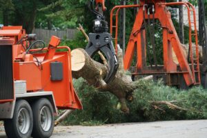 tree removal woodstock ga